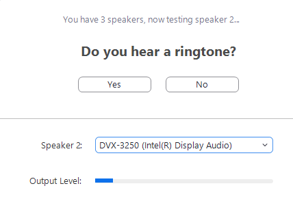 Screenshot of Zoom Setting "Do you hear ringtone?"