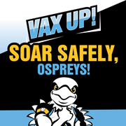 Vax Up, Ospreys!