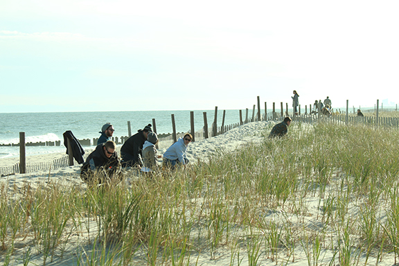 Students learning at the shore