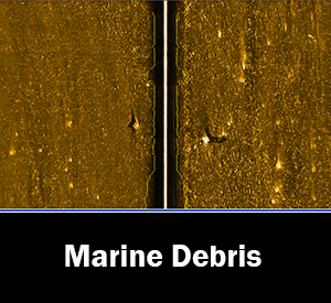 Image of marine debris icon