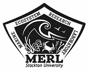 MERL Logo
