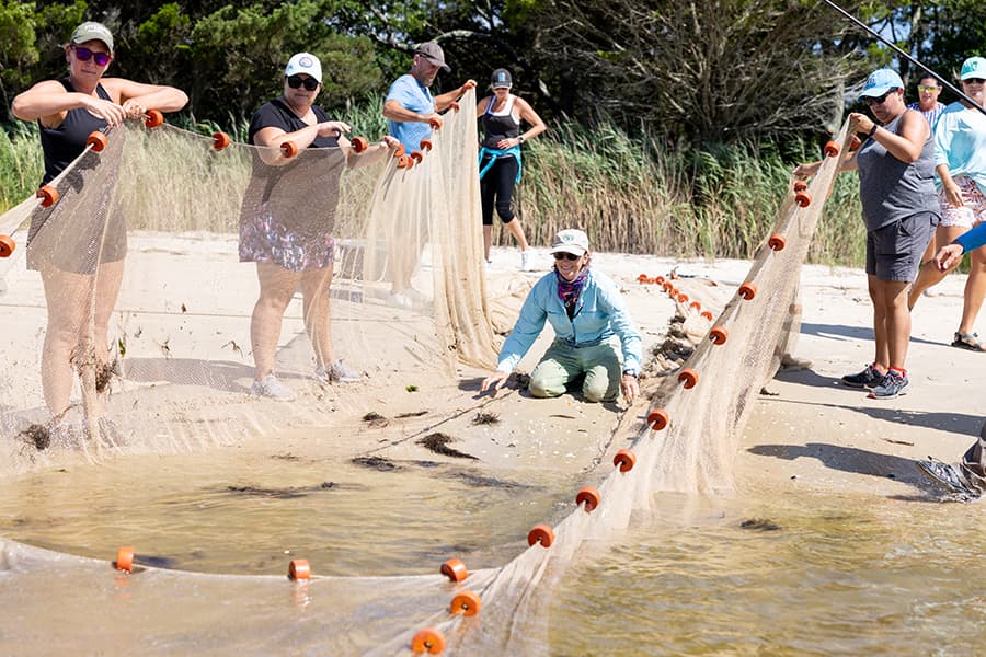 seine net