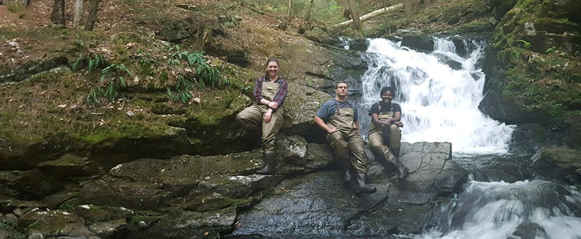 two female students and one male student in stream in forest