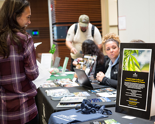 cannabis expo 2019