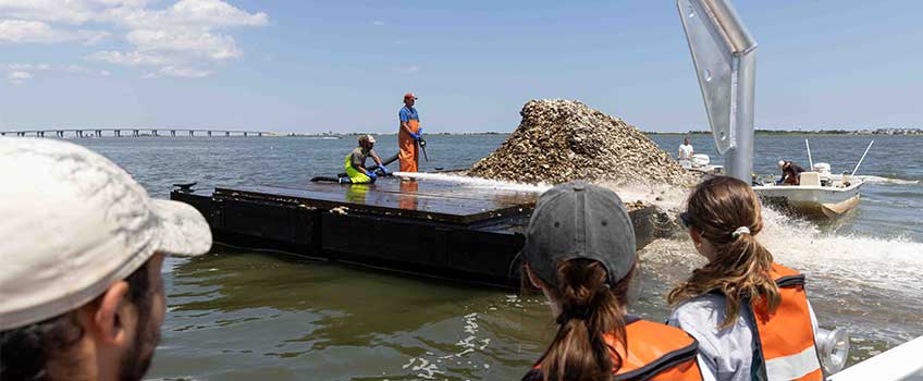 The Oyster Mill