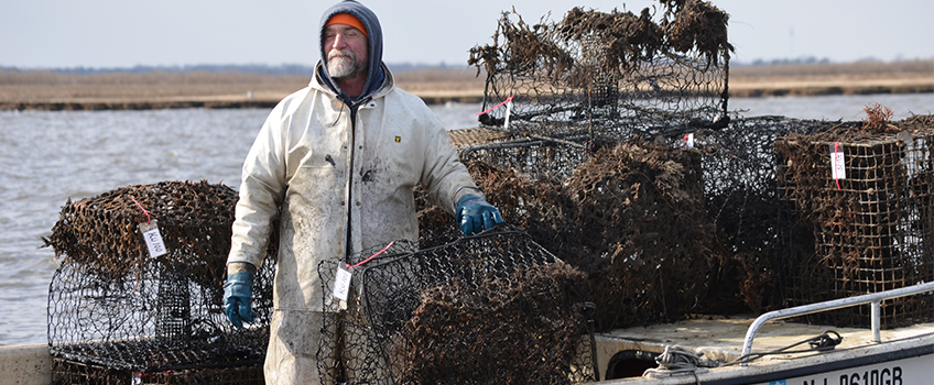 Initiative increases the ecological and economic resilience of coastal bays