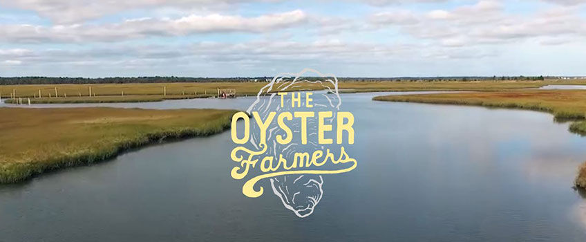 The Oyster Farmers