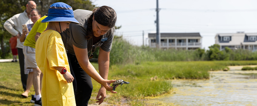 terrapin-release-wetlands-featured