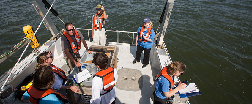 Tuckerton Oyster Reef