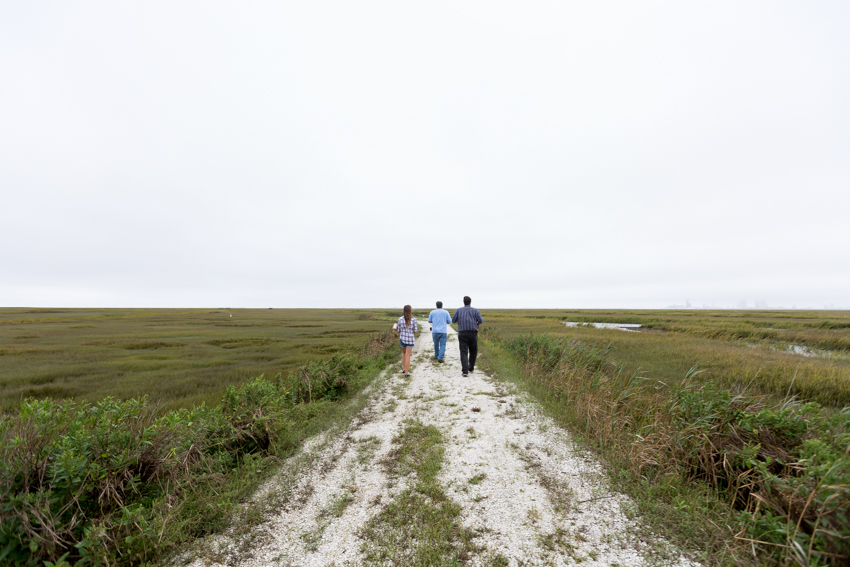 saltmarsh