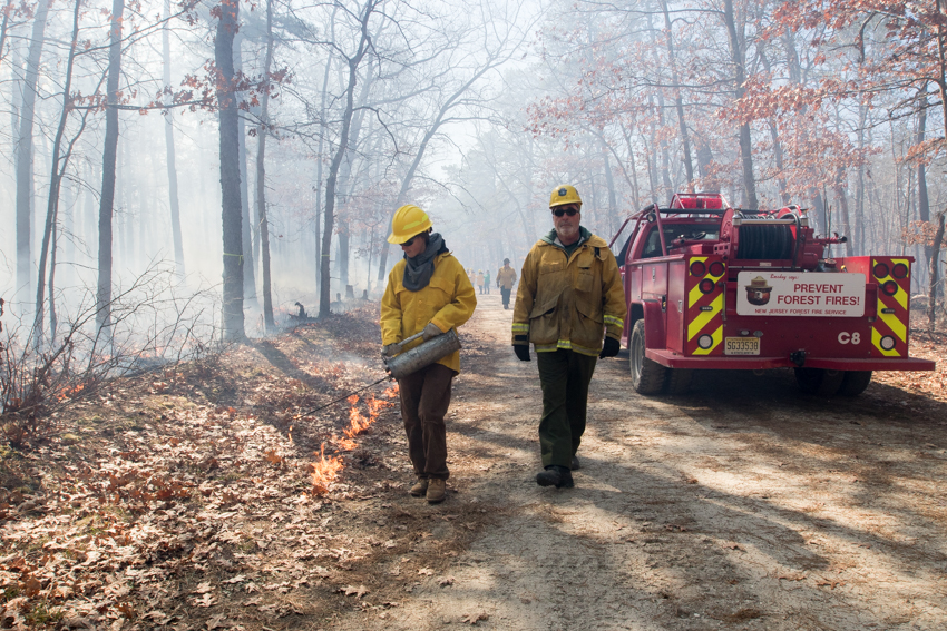 New Jersey Forest Service