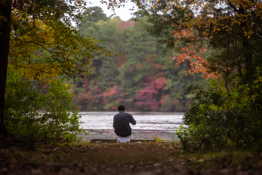 painting Lake Fred