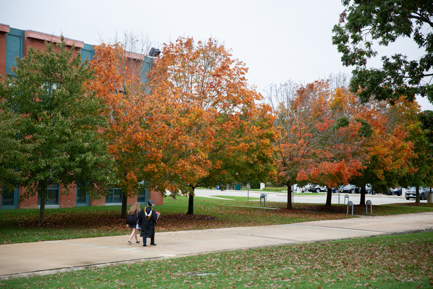 fall foliage