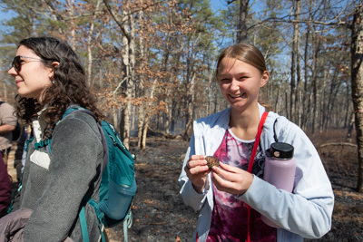 fire observation