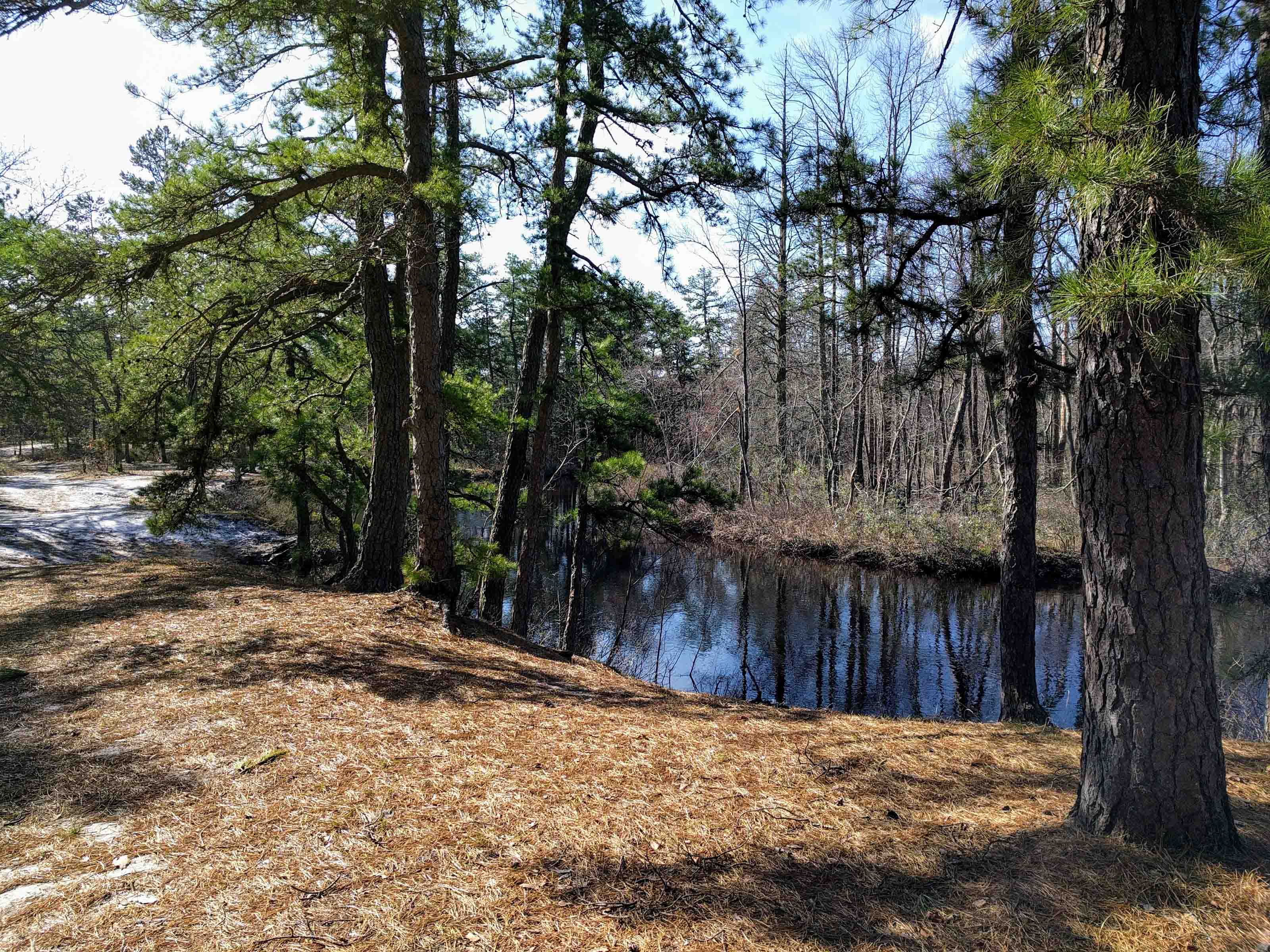 mullica river