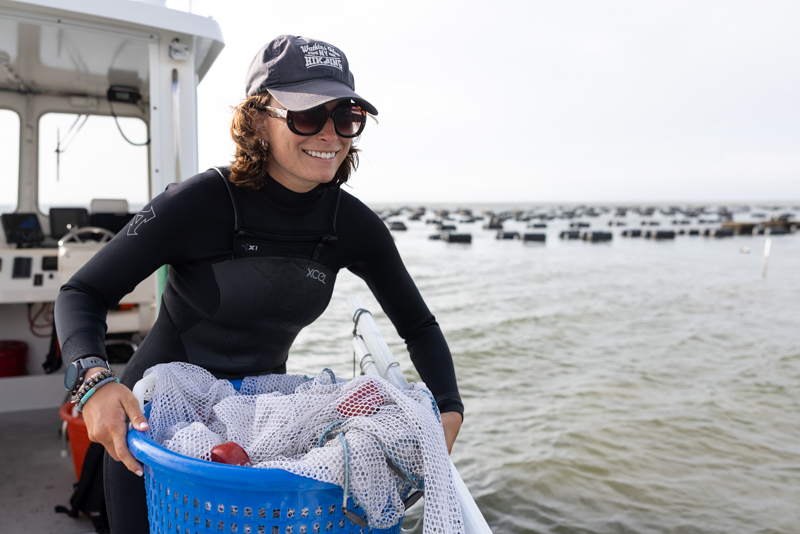 oyster lease seining oyster lease seining