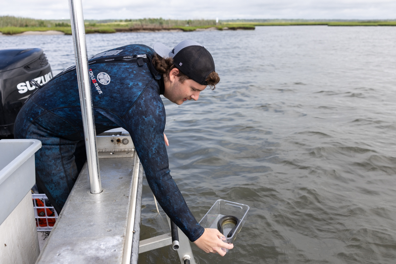 eel release eel release