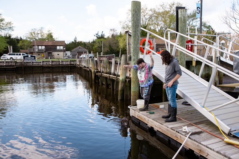fish survey