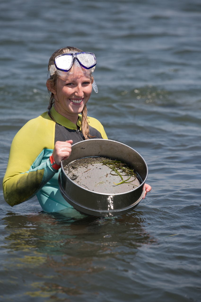 Seagrass Study