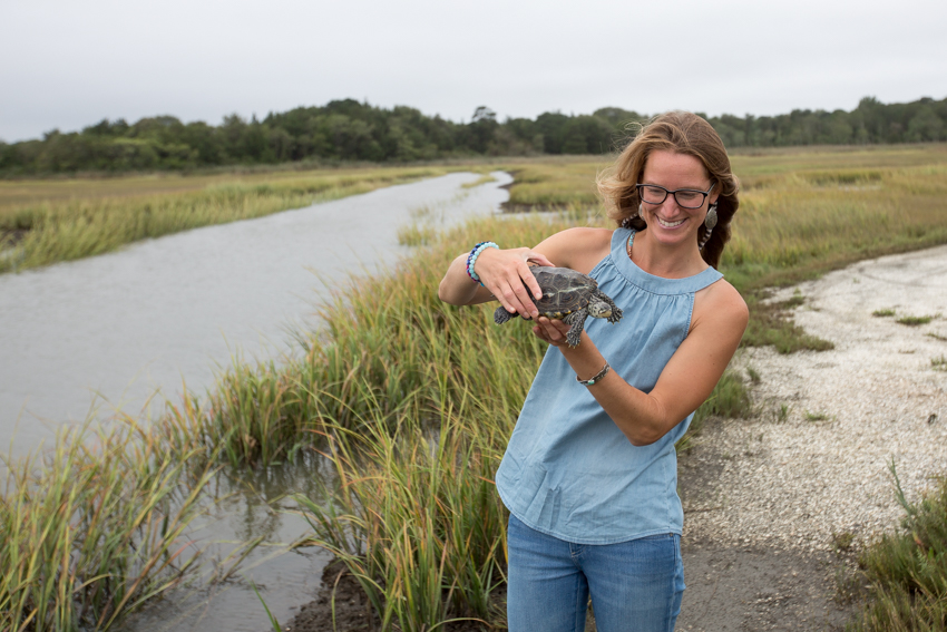 terrapin ready for release