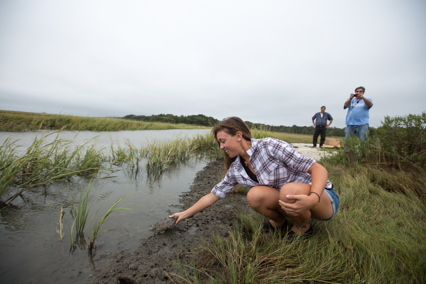 terrapin release