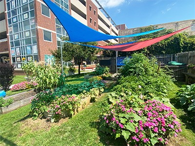 Community garden