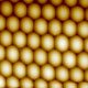 Image from atomic force microscope 