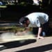 street chalk in O'Donnell Park in Atlantic City