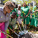Tree Planted in Memory of Longtime Stockton Supporter