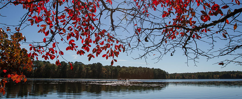 Lake Fred