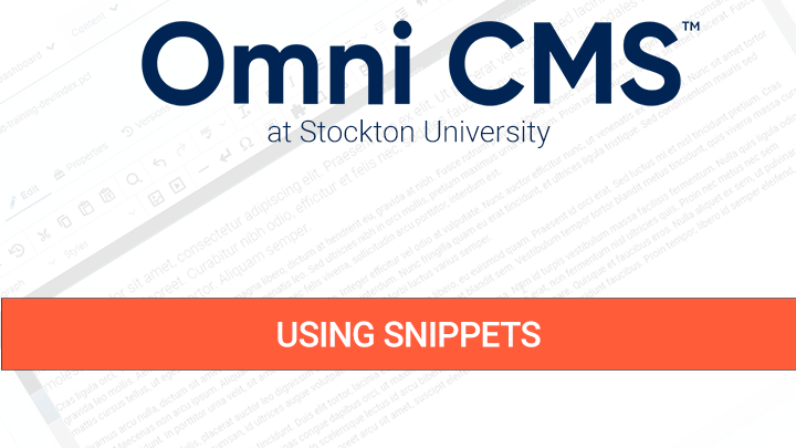 Using Snippets