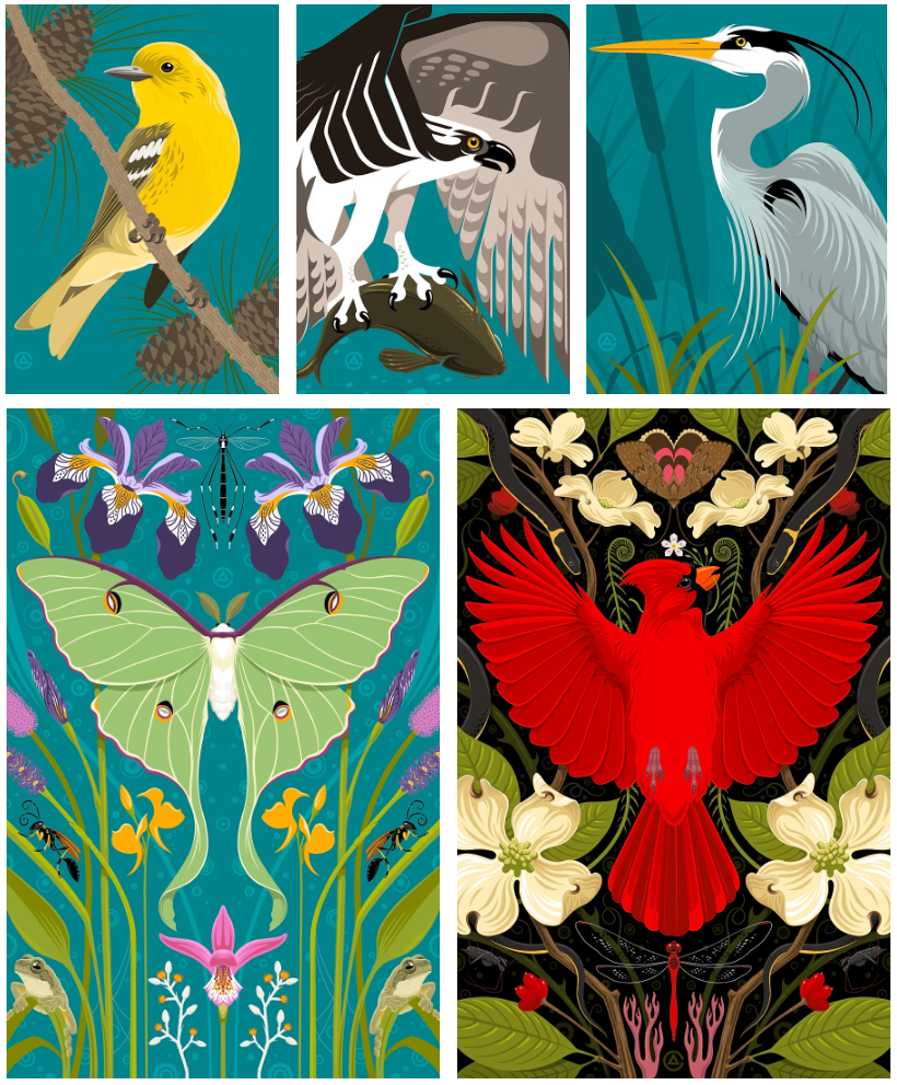 illustrations