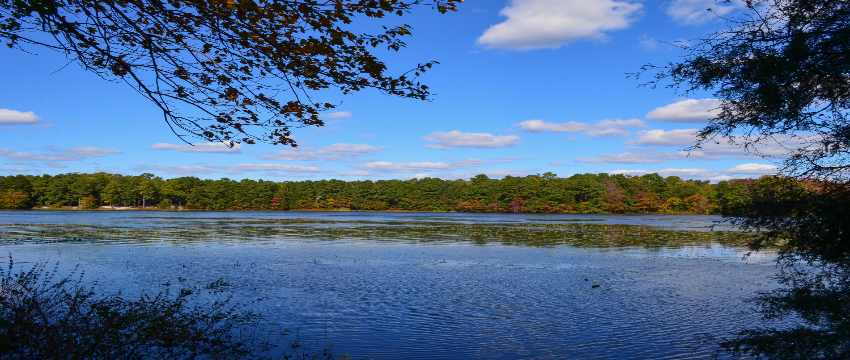 Lake Fred