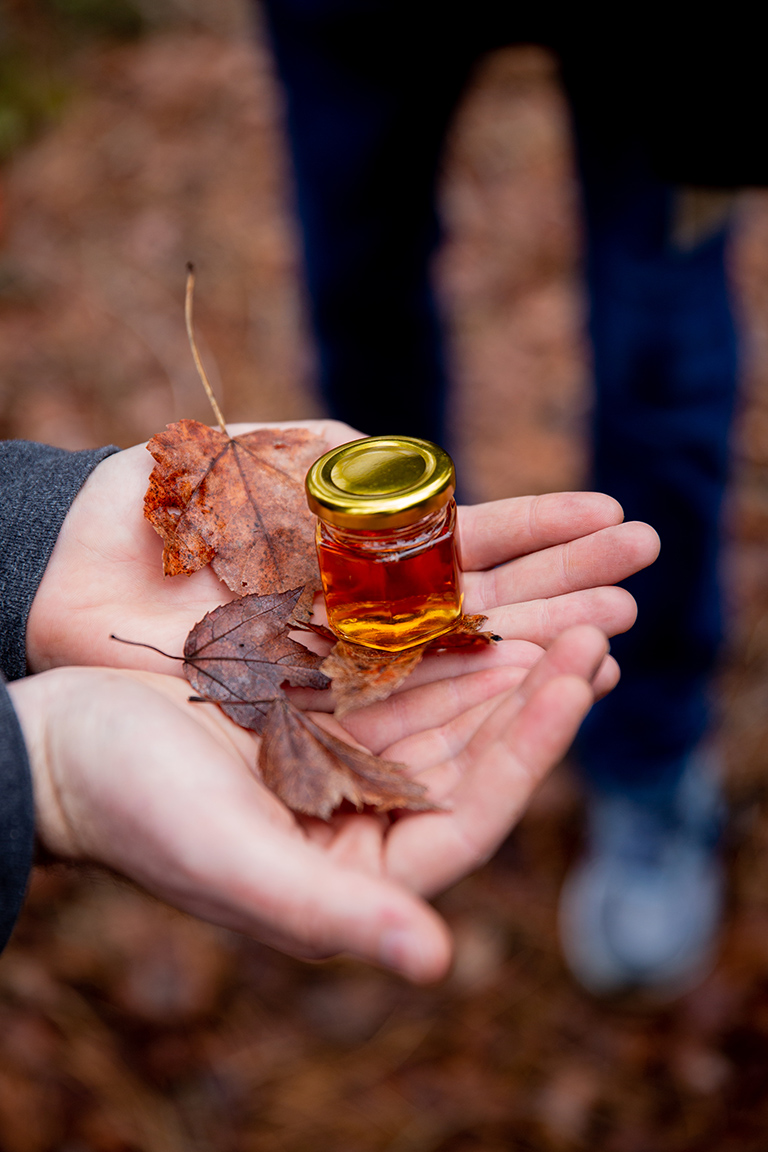 Image of Maple tree leaves and syrup