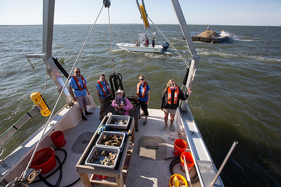 Image of Stockton Researchers and partners plant oysters on the Tuckerton Reef in June 2020. 