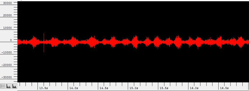 Image of Pine Barrens Treefrog audio waveform