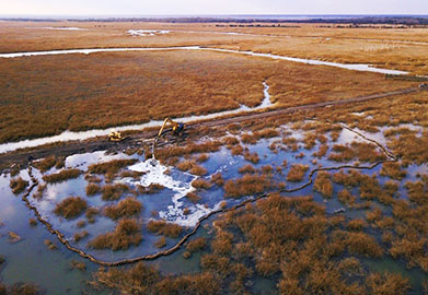 Aerial view of Thompson's Beach marsh with coir and dredge