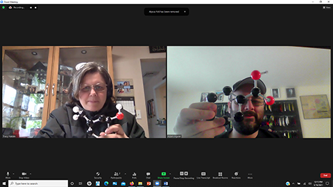Image of Dr. Adam Aguiar doing molecular modeling with student Tracy Natale during virtual office hours.