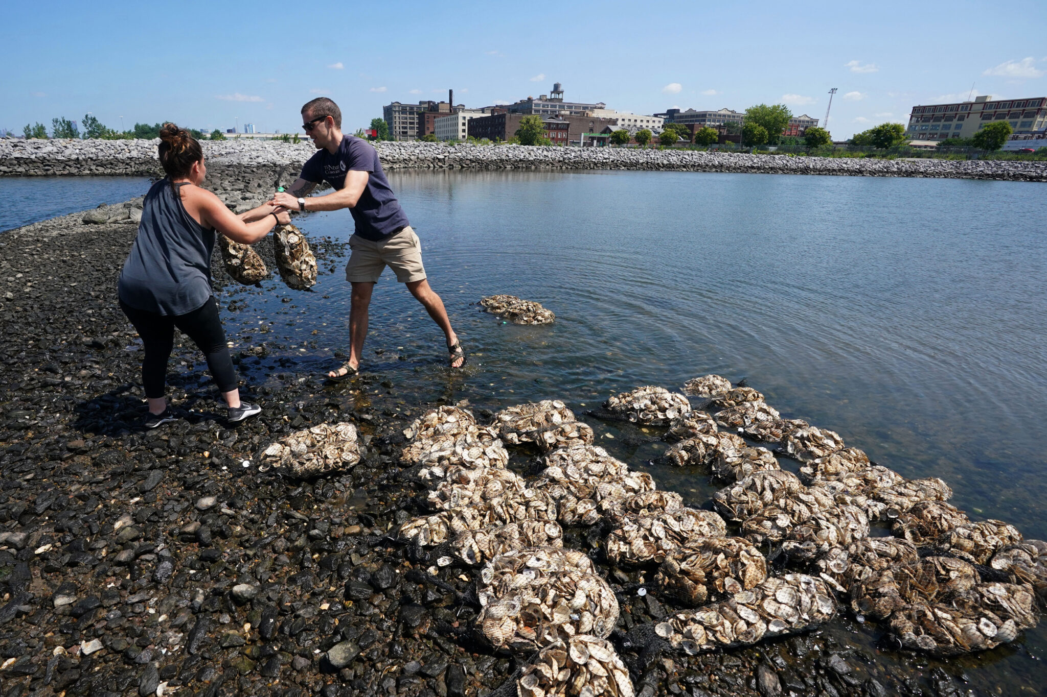 Workers with the Billion Oyster Project prepare to place oysters in the waters near Brooklyn’s Bush Terminal Park in New York City.