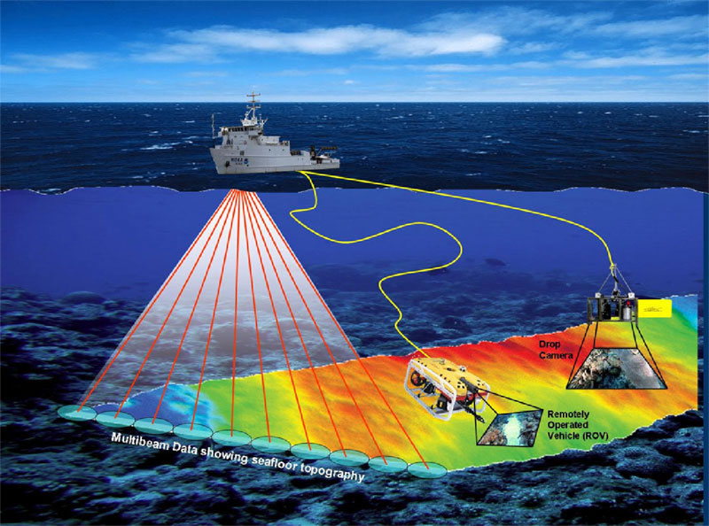 Illustration of multibeam sonar and various bottom type identification camera systems.