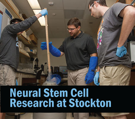 Neural Stem Cell Rearch at Stockton