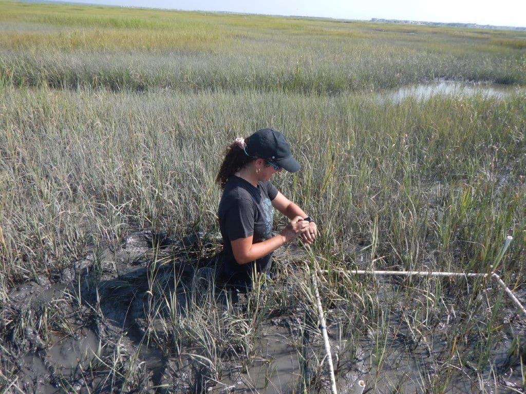 Serena collecting data in the field
