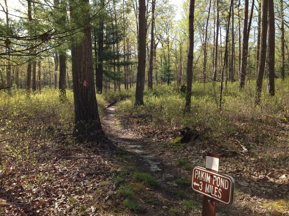 Image of the Batona Trail