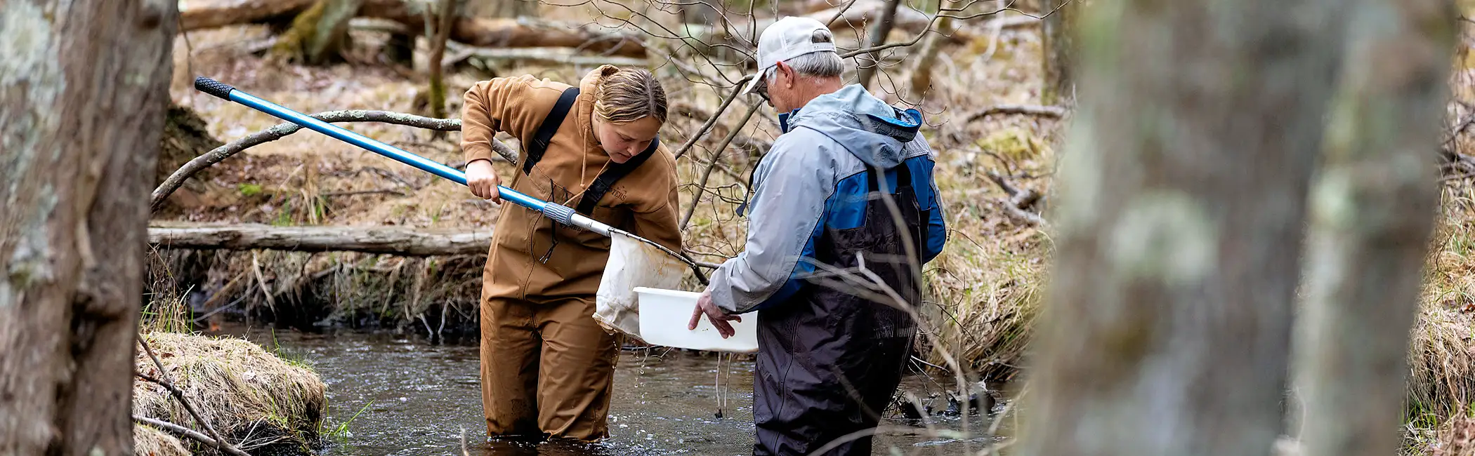 ������ý Environmental Science students working in the field.