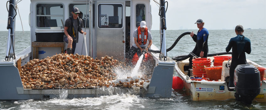 Image of Stockton University research vessels and students replenishing Tuckerton Reef with oyster and clam shells