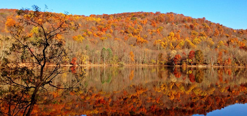 Image of Ramapo Valley County Reservation