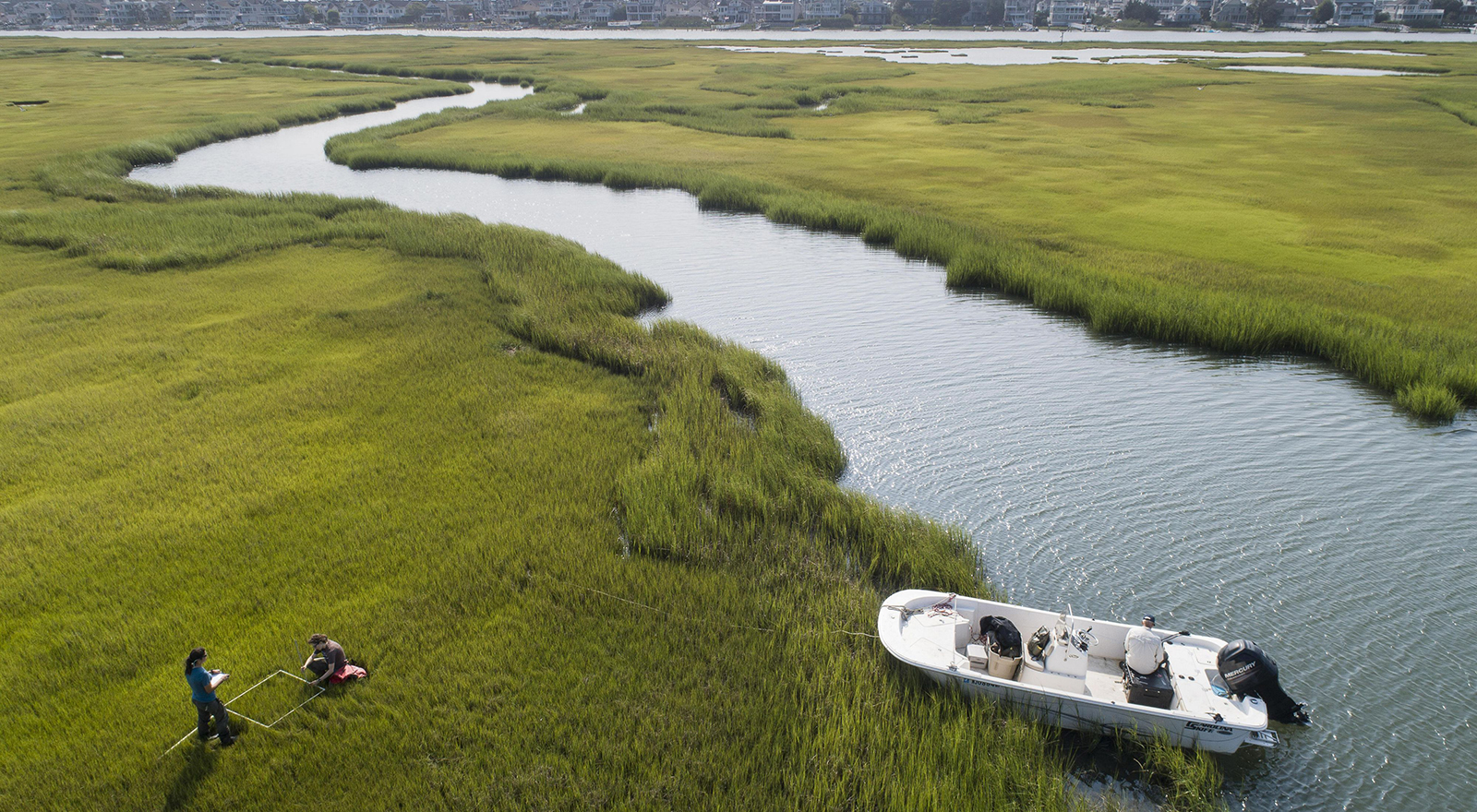Aerial shot of Avalon salt marsh