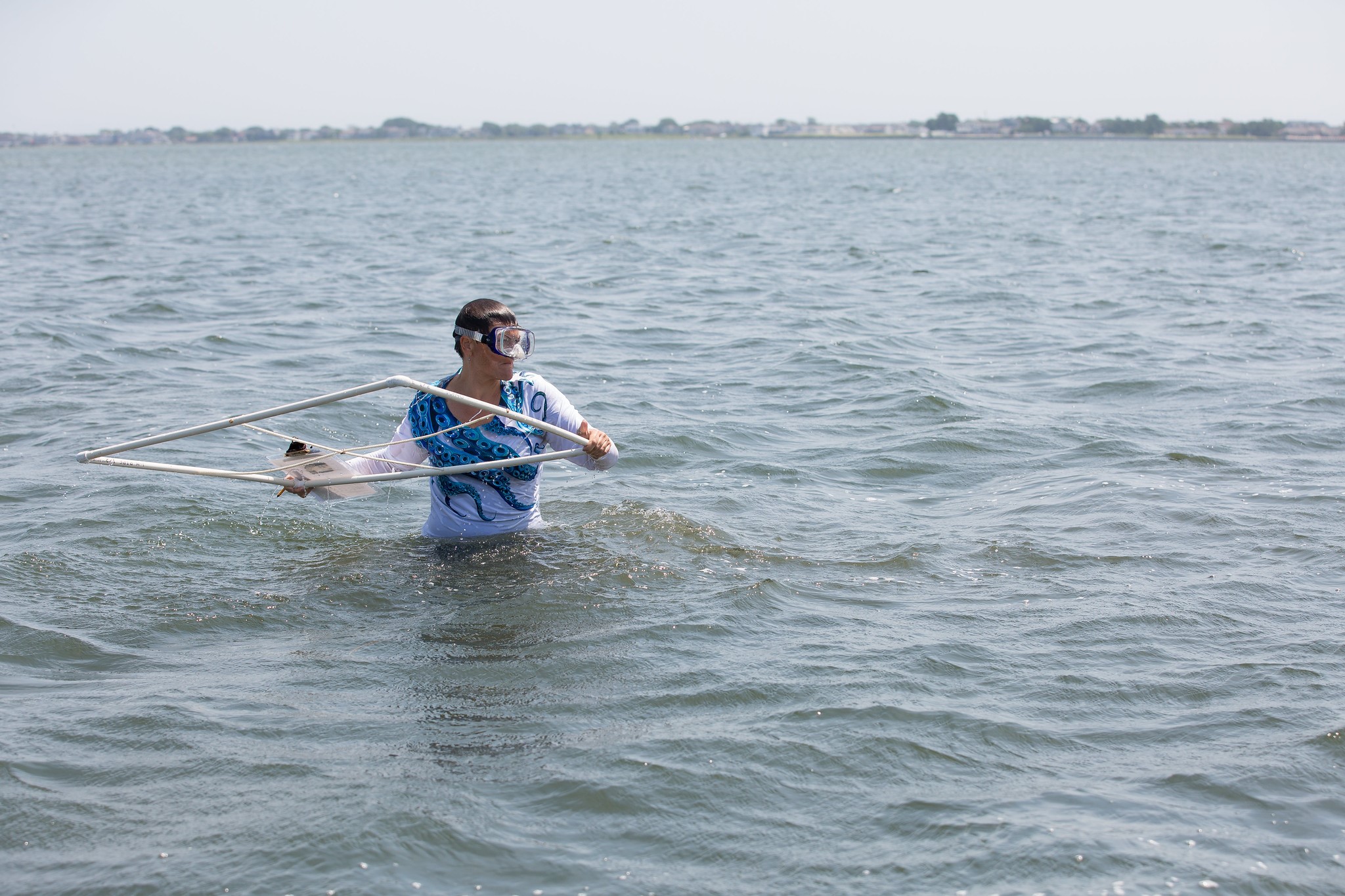Dr. Lacey seagrass monitoring on Barnegat Bay
