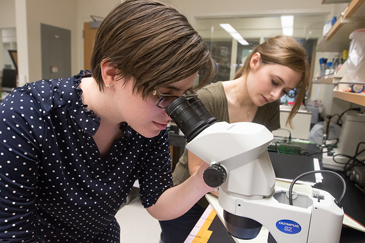SSEP student examining returned specimen from ISS at Stockton University