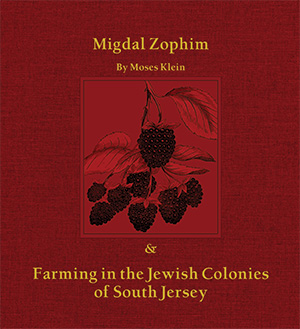 Cover of Migdal Zophim